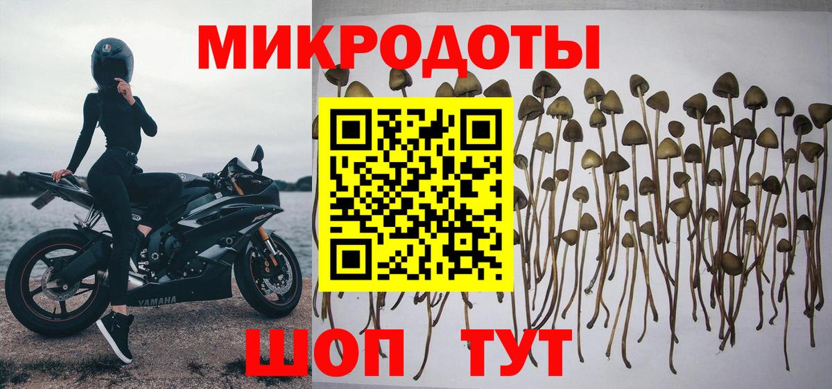 Нижневартовск  наркота  Вход с VPN  Галлюциногенные грибы мухоморы 
